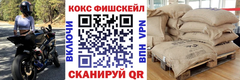 COCAIN Fish Scale  Купить закладки  Благодарный 