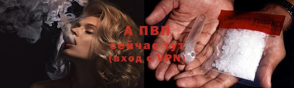 эйфоретик Белокуриха