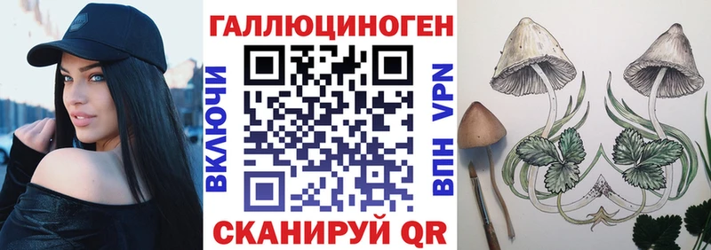 Купить где  Благодарный  Галлюциногенные грибы GOLDEN TEACHER 